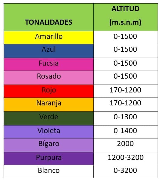 Colores Artcologico
